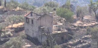 xios 1.jpg