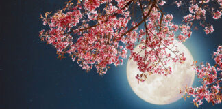 zodiap 68490a375ae66.jpg