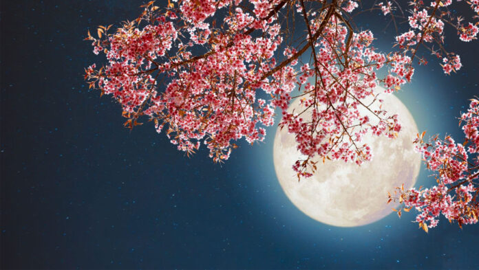 zodiap 68490a375ae66.jpg