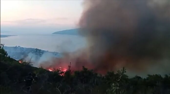 ναυπ.jpg ναυπ.jpg