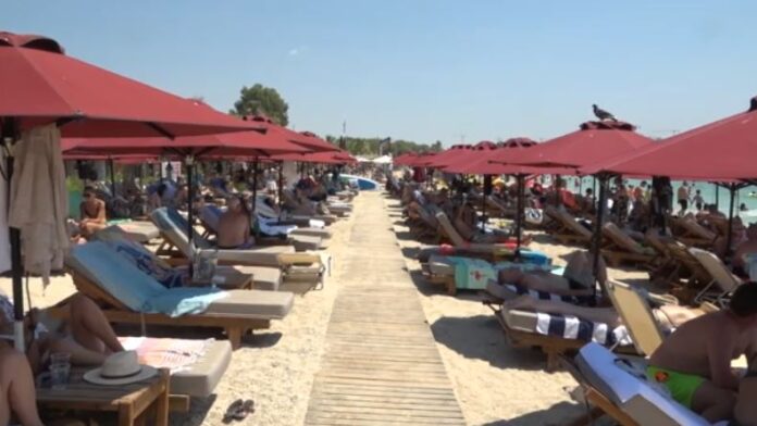 1753048109 paralies.jpg