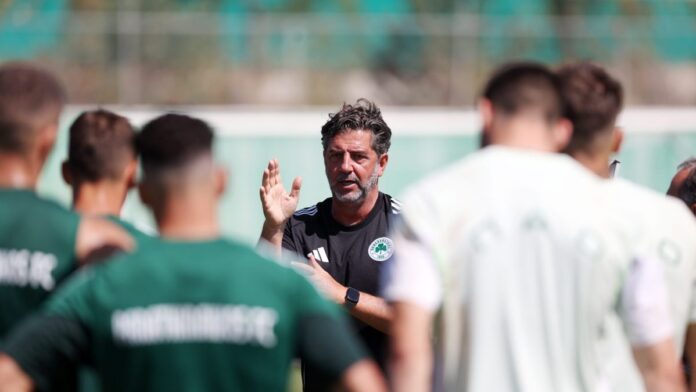 4722452 scaled e1753006813826.jpg