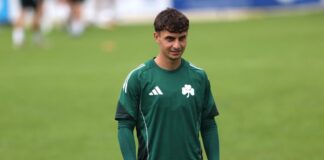 4739168 scaled e1752850997400.jpg