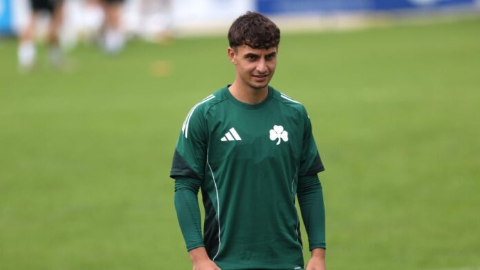 4739168 scaled e1752850997400.jpg