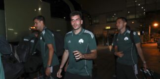 4740223 scaled e1752385937817.jpg