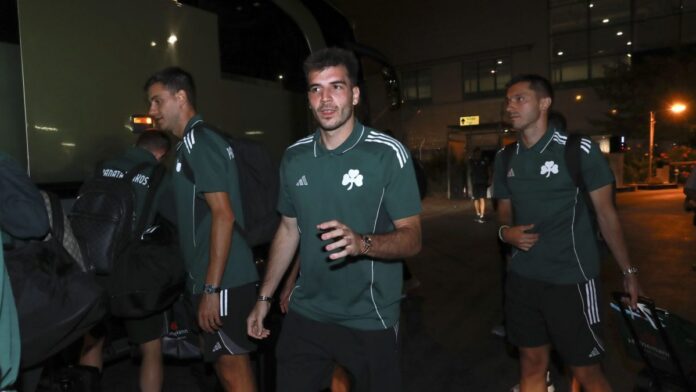 4740223 scaled e1752385937817.jpg