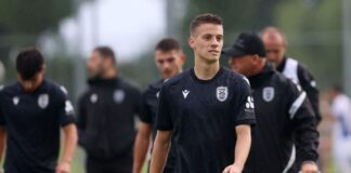 4749651 scaled e1753512434971.jpg