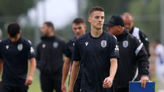 4749651 scaled e1753512434971.jpg