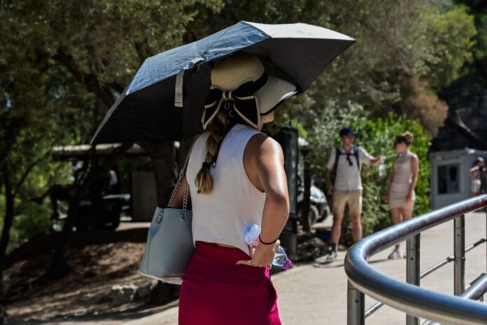 6613526 1200x800 1 1024x683.jpg