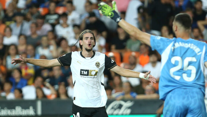 AP24230781388845 1.jpg