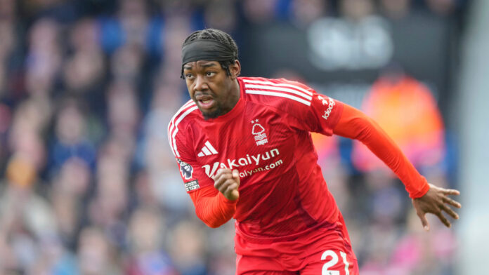 AP25077344121183 1.jpg