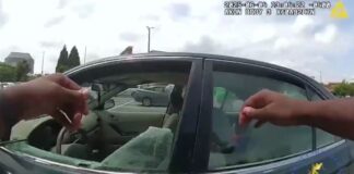 Capture 111.jpg