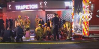 Capture 191.jpg