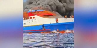 Capture 193 1024x482.jpg