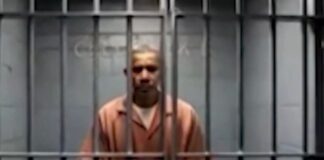 Capture 197 1024x603.jpg