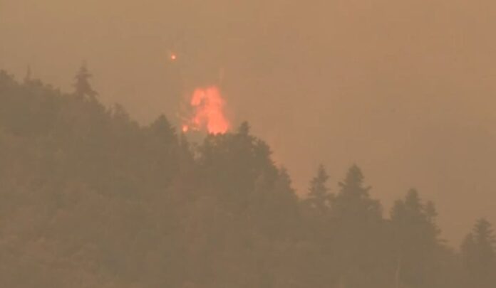 Capture 199 1024x596.jpg