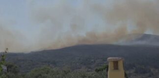 Capture 224 1024x593.jpg