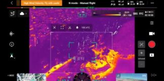 Capture 241.jpg