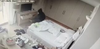Capture 82.jpg