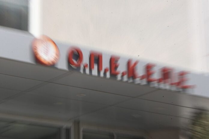 DIMI0006 1024x683.jpg