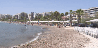 FALIRO.png