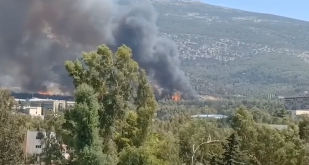 FOTIA7 1.png FOTIA7 1.png