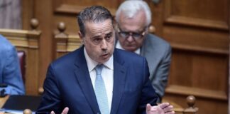 Stavros Papastaurou.jpg