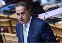 Stavros Papastavrou 2.jpg