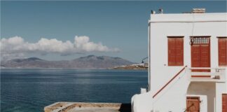 braxuxronia misthwsi 1.jpg