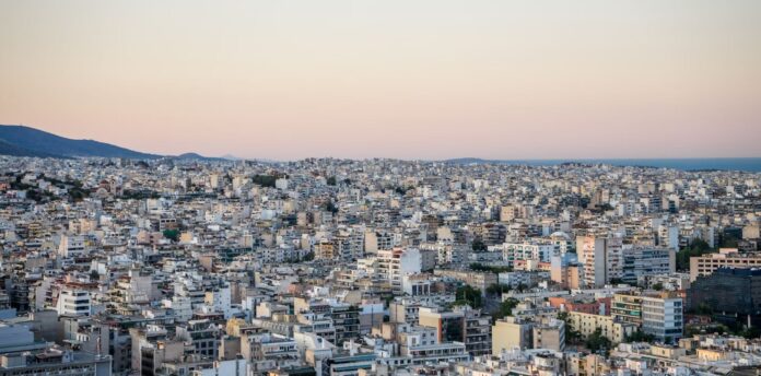 braxyxronia misthwsi 1.jpg braxyxronia misthwsi 1.jpg