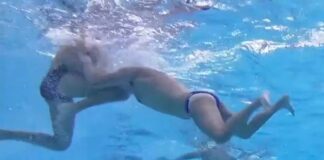 ellada italia polo 1200x630.jpg