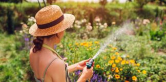 eueksia kalokairina hobby coastal grandma.jpg