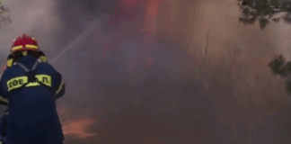 fot5 1024x565.png
