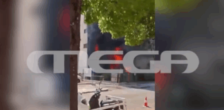 fotia 3.png