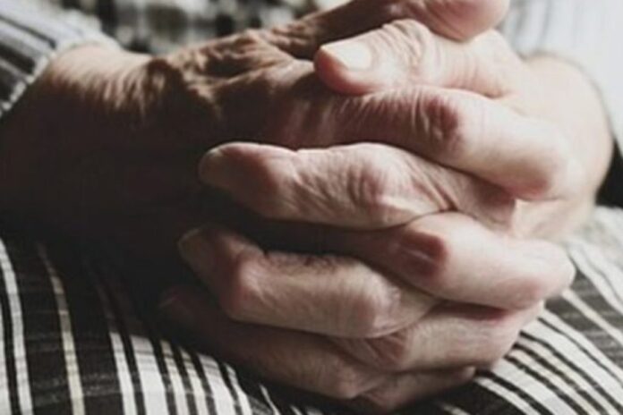 giagiaka 1024x683.jpg