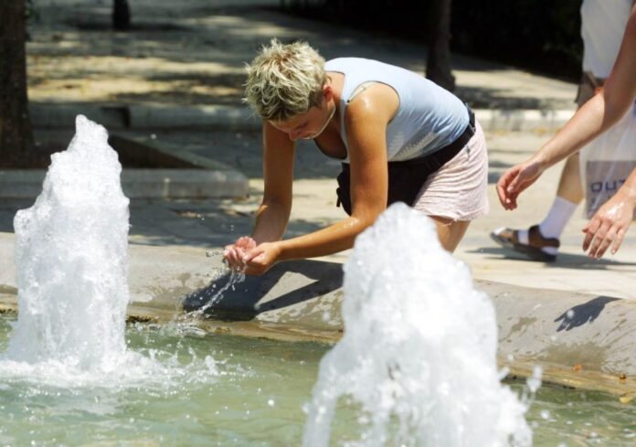 h0429654 1200x842 1 1024x719.jpg