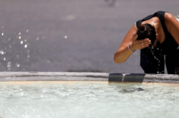 kausonas 1 1024x678.png kausonas 1 1024x678.png