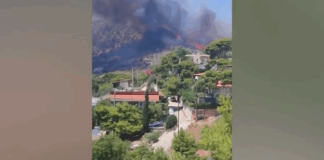 kororpi.png