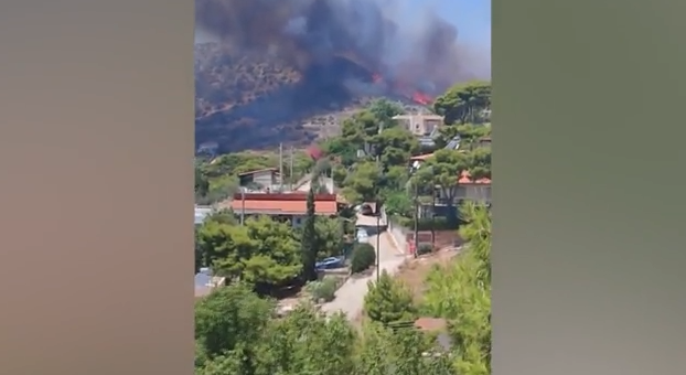 kororpi.png kororpi.png