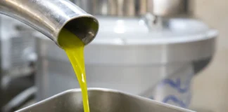 ladi elaiolado.webp.webp