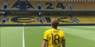 marin 4 1200x630.jpg