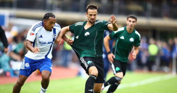 maximovic 1 1200x630.jpg