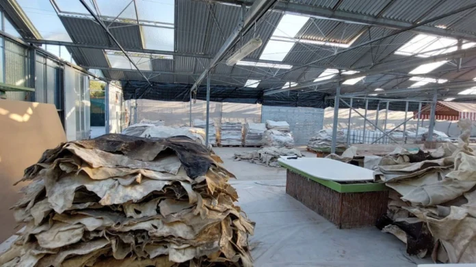 narkotika 6 .webp.webp