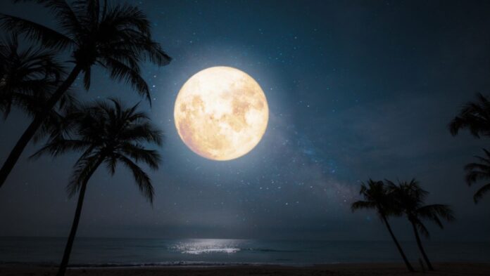 panselinos ston aigokero.jpg