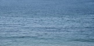 paralia 1.jpg