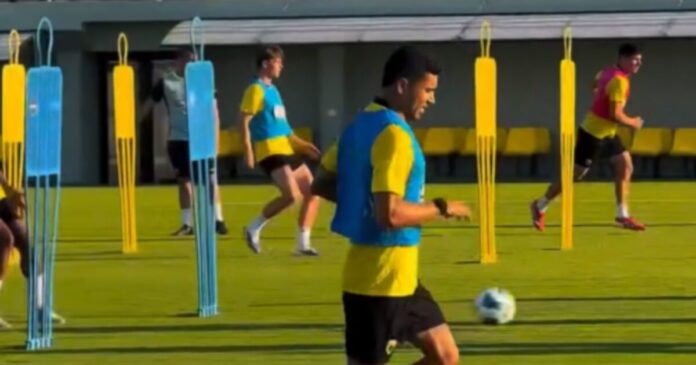 pineda 1 1200x630.jpg