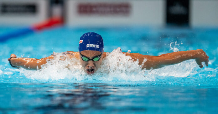 siskos 2 1200x630.jpg siskos 2 1200x630.jpg