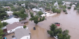texas.png