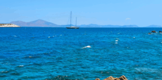 thalasa 1024x598.png