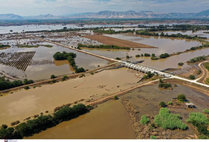 thessalia plimmira.jpg thessalia plimmira.jpg